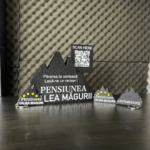 Statuete personalizate - imagine 6